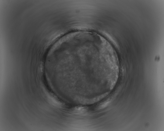 X0000091960117200710041037