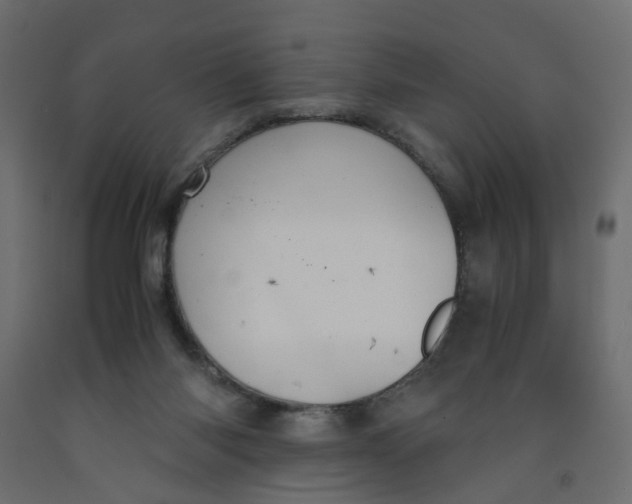 X0000091960118200710041037