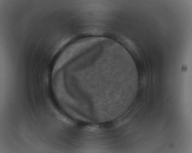 X0000091960120200710041037