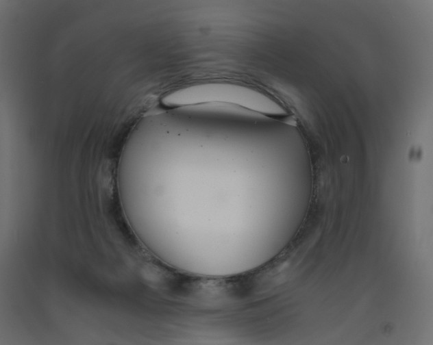 X0000091960121200710041037