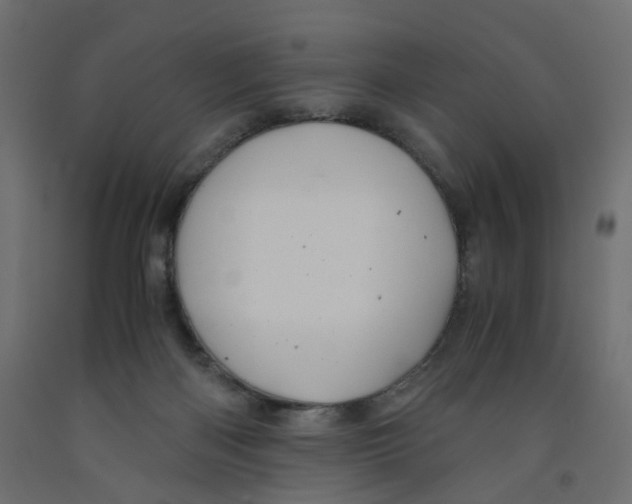 X0000091960122200710041036