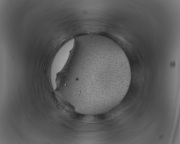 X0000091960123200710041036