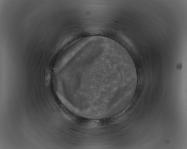 X0000091960124200710041036