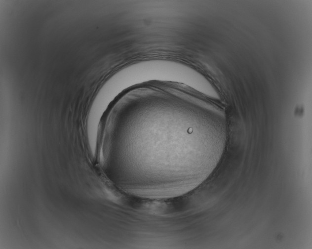 X0000091960125200710041036
