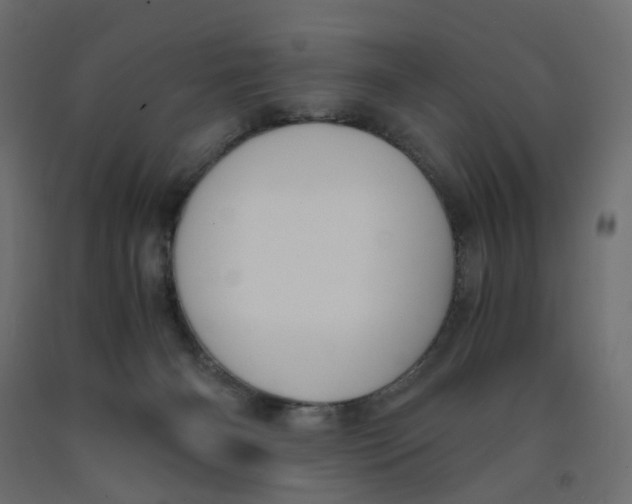 X0000091960126200710041036