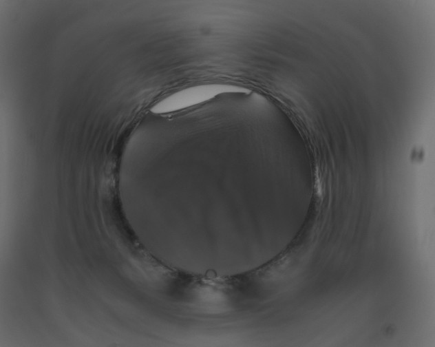 X0000091960127200710041036