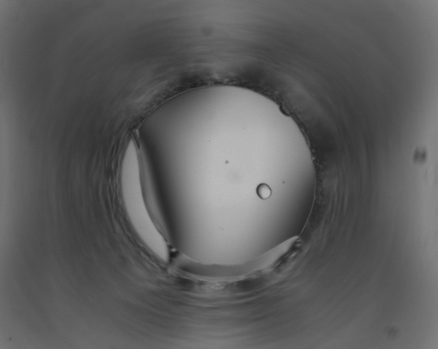 X0000091960129200710041036