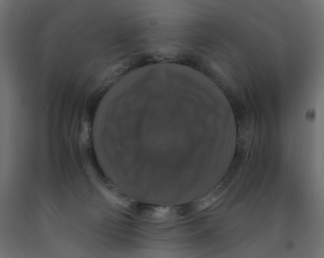 X0000091960130200710041036