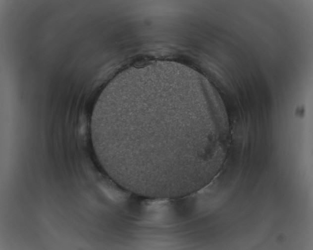 X0000091960132200710041036