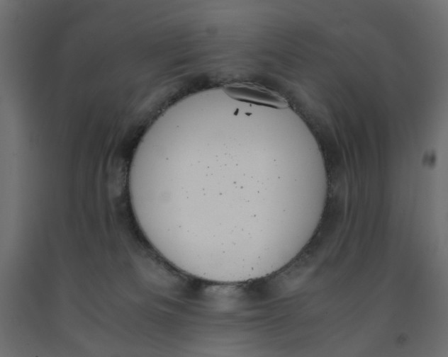 X0000091960133200710041036