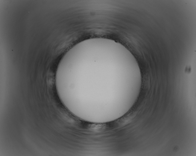 X0000091960135200710041036