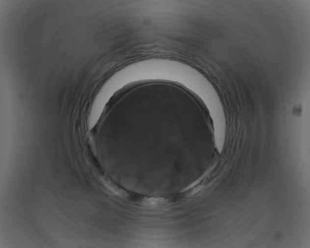 X0000091960137200710041036