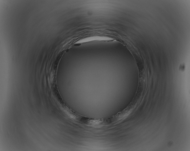 X0000091960139200710041036