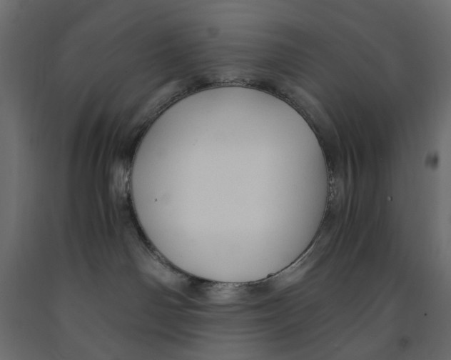 X0000091960142200710041036