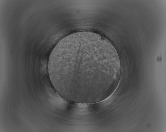 X0000091960144200710041036