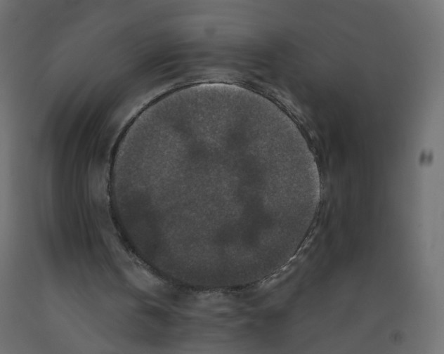 X0000091960146200710041035
