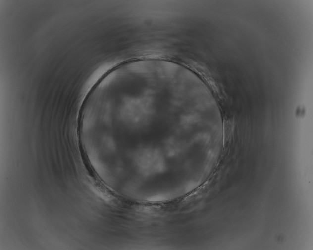 X0000091960147200710041035