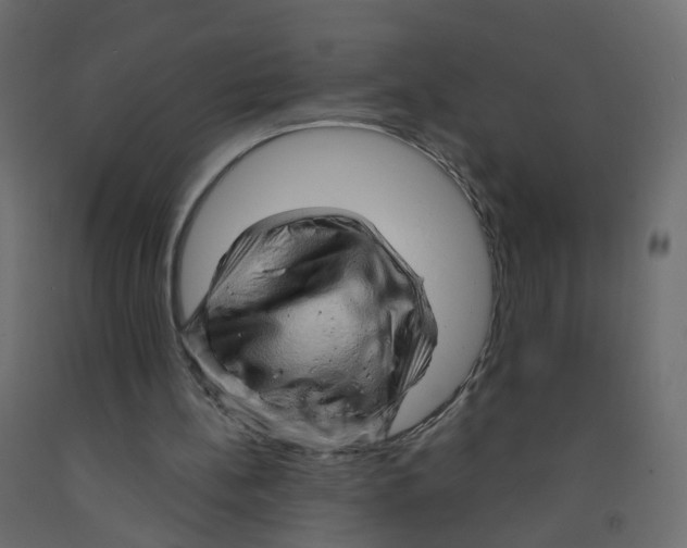 X0000091960148200710041035