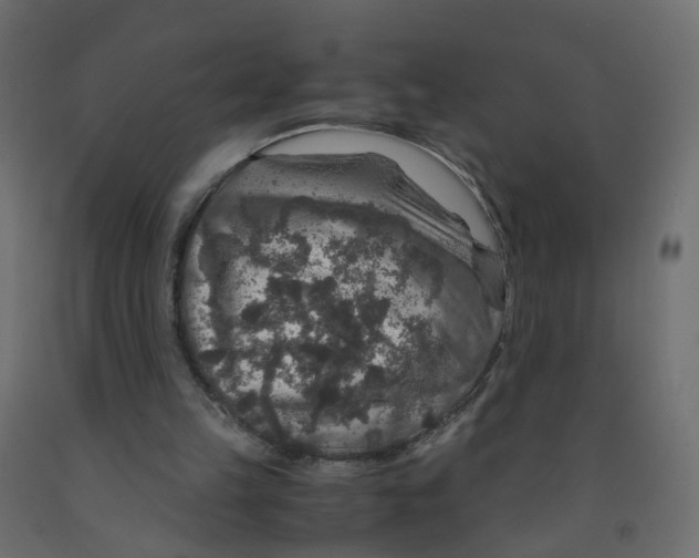 X0000091960149200710041035