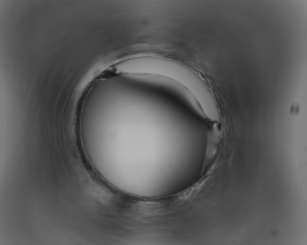 X0000091960150200710041036