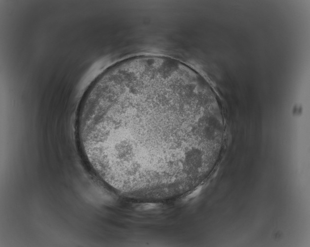 X0000091960151200710041036