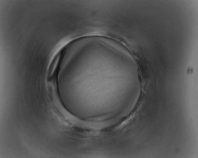 X0000091960152200710041036