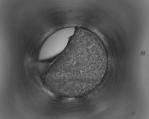 X0000091960153200710041036