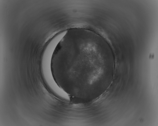 X0000091960154200710041036