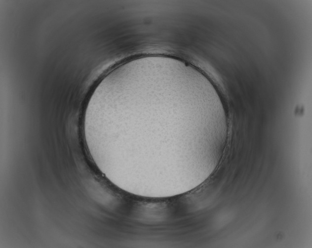 X0000091960155200710041036