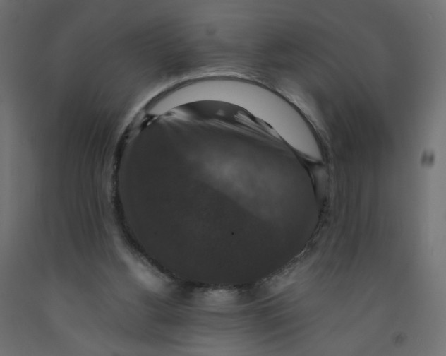 X0000091960156200710041036
