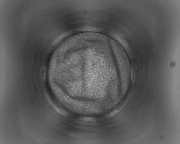 X0000091960157200710041036