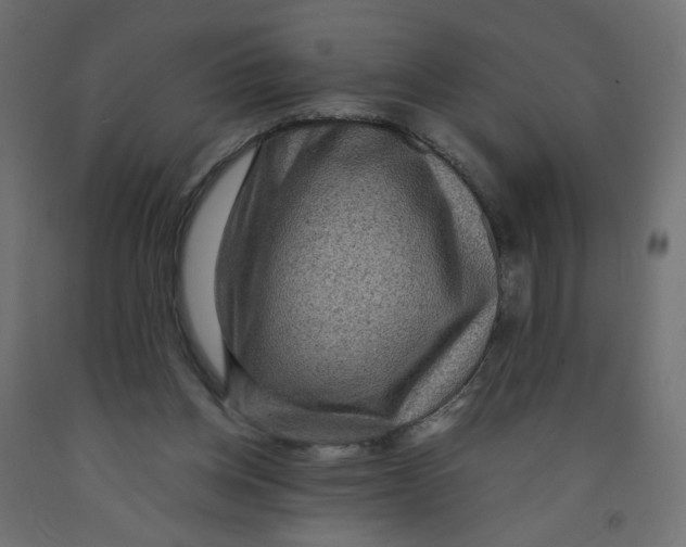 X0000091960158200710041036