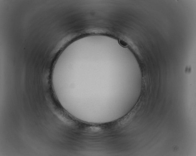 X0000091960159200710041036