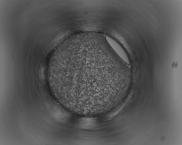 X0000091960161200710041036