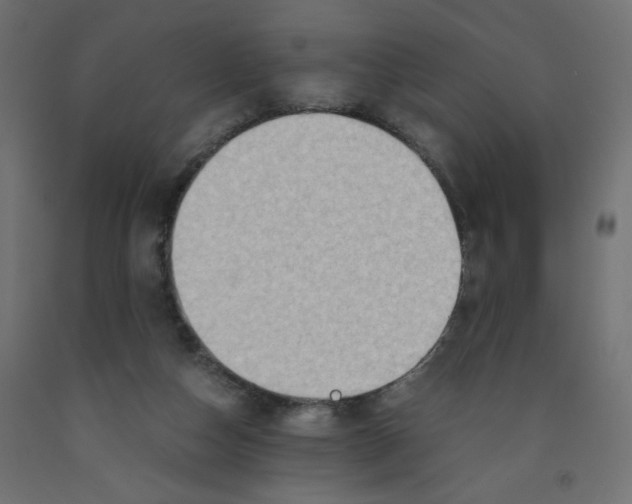 X0000091960162200710041036