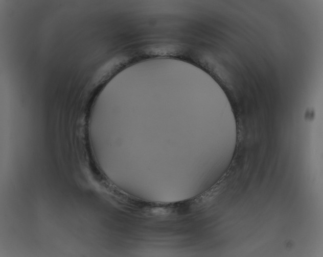 X0000091960163200710041036