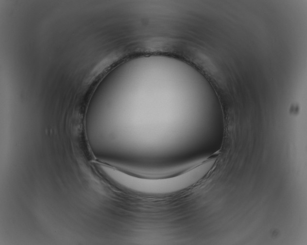 X0000091960164200710041036