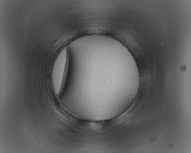 X0000091960166200710041036