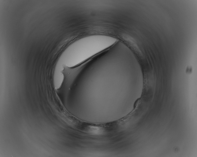 X0000091960167200710041036
