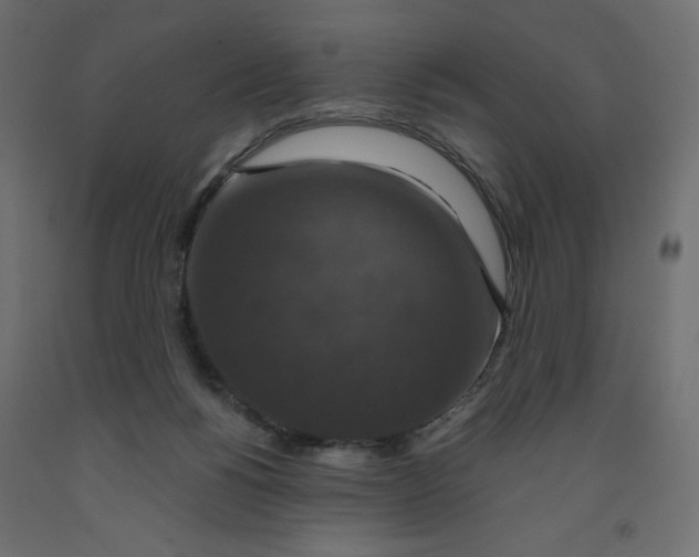 X0000091960168200710041036