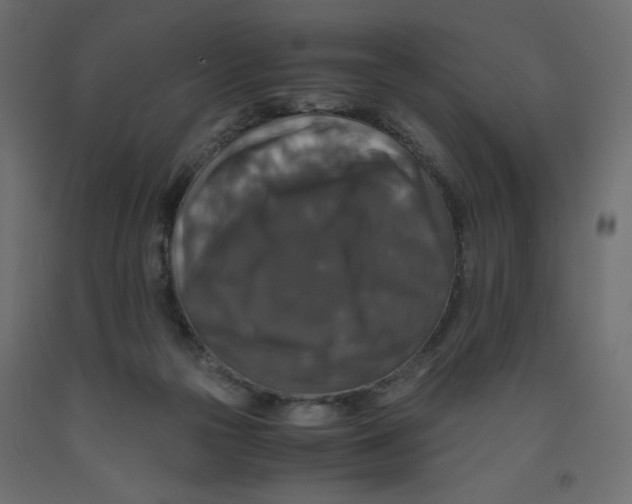 X0000091960169200710041036