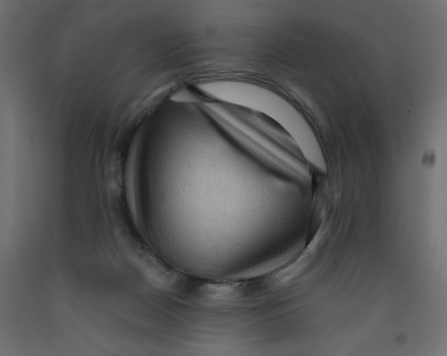X0000091960170200710041036