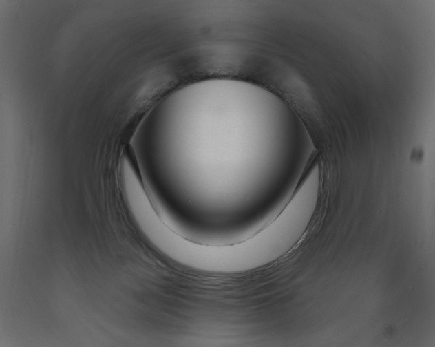 X0000091960172200710041036