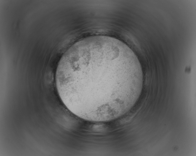 X0000091960173200710041036