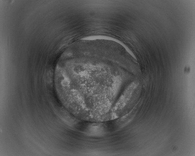 X0000091960175200710041036