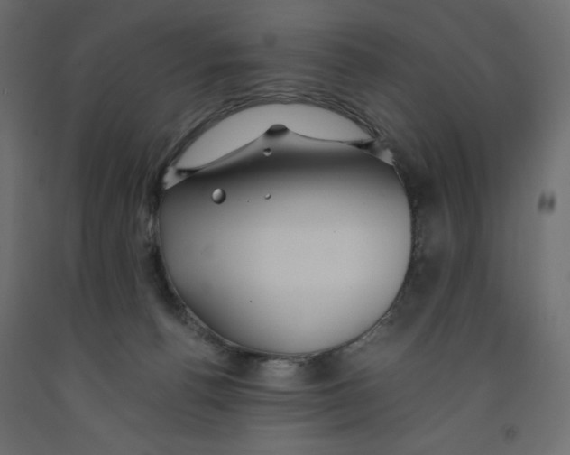 X0000091960176200710041036