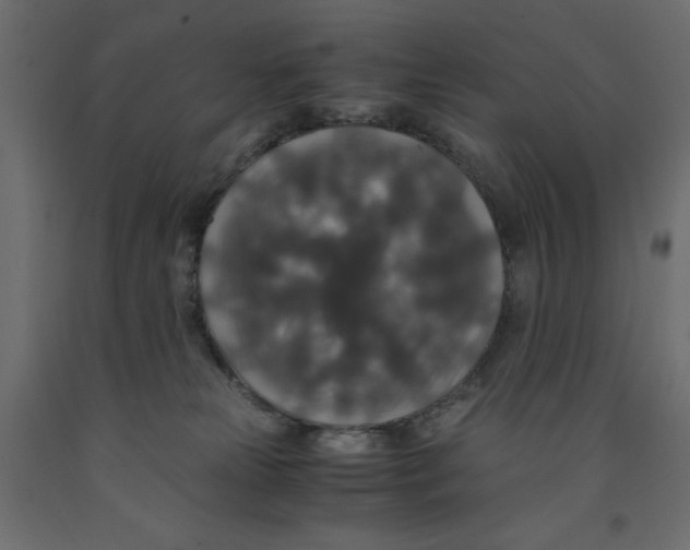 X0000091960181200710041036