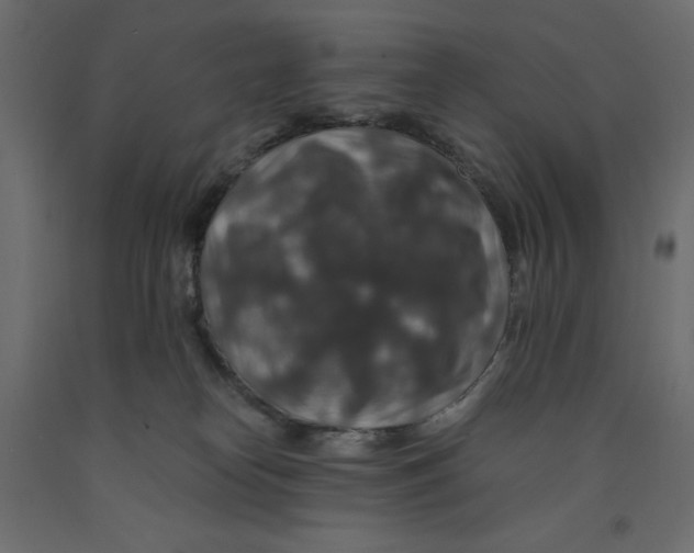 X0000091960182200710041036