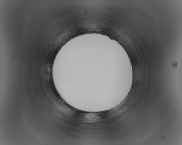 X0000091960183200710041036