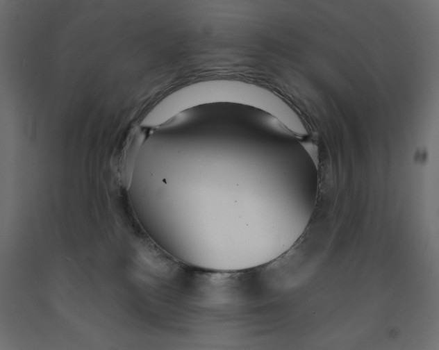 X0000091960184200710041036